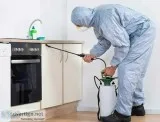 Cockroach Control service in Bradenton