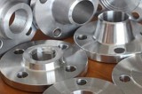 Stainless Steel 446 Flanges