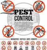 Moxie Pest Control