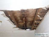 Mould Removal l Mould Inspection Brisbane