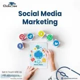 Expert Real Estate SEO Agency in Victoria