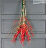 Shop for Beautiful Winterberry Branches - Decorative Accents