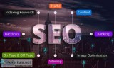 Consult The Best SEO Company Delhi