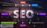 Consult The Best SEO Company Delhi
