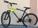 Raleigh Talus