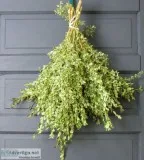 Shop for Variegated Boxwood Bunched Live Greens - 1 Lb