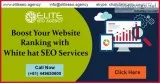 Digital Marketing for Educational Institute  Elite SEO Agency