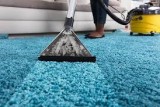 Looking for the best Carpet Cleaning services in Naples