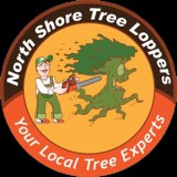 Tree Removal Northern Beaches