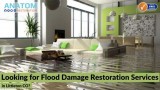 Looking for Flood Damage Restoration Services in Littleton CO