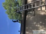 Roof Repair in Clifton NJ