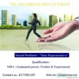 Filed sales representative