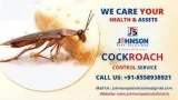 Pest Control in Panchkula
