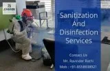 cockroach treatment services in panchkula