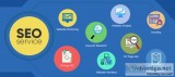 Looking the Best SEO Services Provider in Delhi