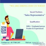 Field sales consultant