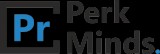 Best Website Designing Company In India  Perkminds