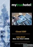 Enterprise Resource Planning (ERP)