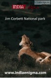 Jim Corbett National park