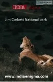 Jim Corbett National park