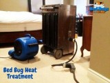 Bed Bug Treatment  How to Identify and Get Rid of Bed Bugs