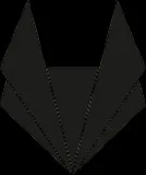 Furious Fox  App Development  Web Development