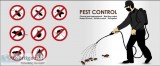 Hire a Best Pest Control Service in Rohini for Both Residential 