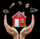 Choose a  Best Pest Control services in Dwarka