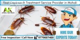 Cockroach Treatment in Mohali
