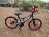 Schwinn Falcon 20 Inch Childs Bike By Christopher Metcalfe Creat