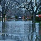 Commercial Water Damage Deforest Wi