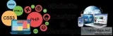 Best Website Design and Development Company in Fort Myers  DMC