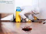 Cockroach Control service in Bradenton