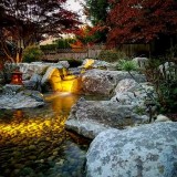 Get Pondless Waterfall in Your Home Backyard Today