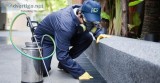 Termite Control Service Sydney  Qpms.com.au