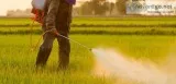 Best Pest Control Services in Noida