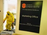 Home Maintenance Services