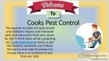Know All About Florida Pest Control Milton FL