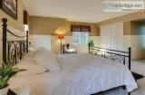 Common Myths About Mattress