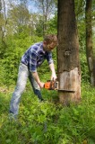 Tree Removal Service in Sioux Falls SD - Sioux Falls Tree Care