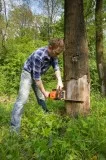 Tree Removal Service in Sioux Falls SD - Sioux Falls Tree Care