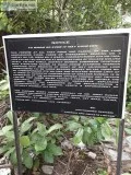 land available for sale