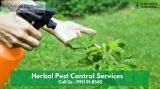 Hire the Top Pest Control Services in East Delhi