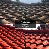 Best Roof Cleaning Service in Riverside