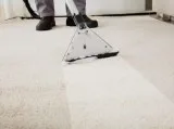 Avail The Residential and Commercial Carpet Cleaning Services