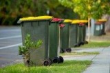 Avail Perth Garbage Bin Cleaning Service