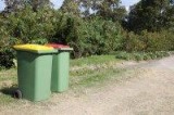 Avail Household Bin Cleaning Service in Westminster