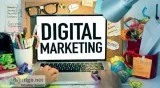 Best Website Designing Company In Gurgaon  STS Digital Solutions