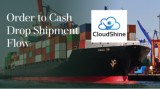 Oracle Fusion Financials  CloudShine