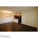 Luxury 3 Bd 2 Ba Apartment w. Garage All Appliances WD